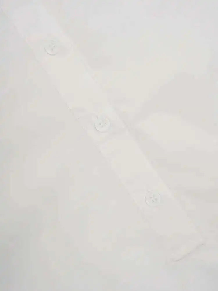 Women White Big Size Elegant Shirt Dress New Stand Collar Long Flare Sleeve Fashion Tide Spring Autumn 2025 CPDB216