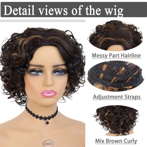 Load image into Gallery viewer, Afro Curly Wigs Short Synthetic Hair Regular Wigs for Black Women High Temperature Fiber High Quality Wigs Highlights
