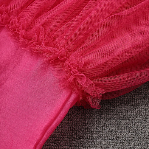 Load image into Gallery viewer, Women Rose Red Mesh Flower Big Size Mini Dress New Stand Collar Long Sleeve Fashion Tide Spring Autumn 2025 CPG3051
