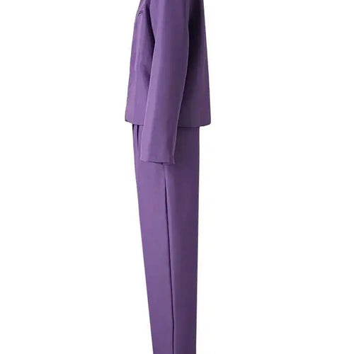 Load image into Gallery viewer, Purple Blazer Big Size Wide Leg Pants Two Piece Suit New Round Neck Long Sleeve Women Fashion Spring Autumn 2025 CPG2619
