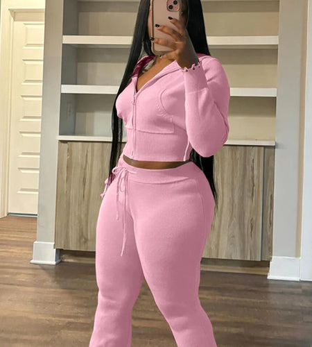 Sporty 2 Piece Set Women Hooded Cardigan Crop Jacket+Drawstring Straight Pants Fit Simple Classic Basic Casual Tracksuit