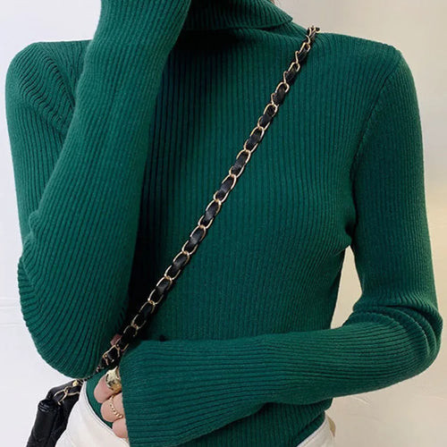 Load image into Gallery viewer, New 2025 Women Pullover Turtleneck Sweater Autumn Long Sleeve Slim Elastic Korean Simple Basic Cheap Jumper Solid Color Top
