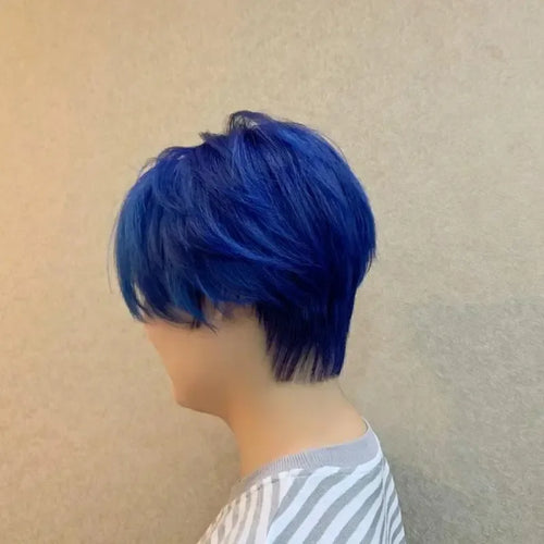 Load image into Gallery viewer, Blue Wigs for Men Synthetic Hair Short Wig with Bangs Cosplay Hairstyle Halloween Costume for Man Fashion Haircut Wigs
