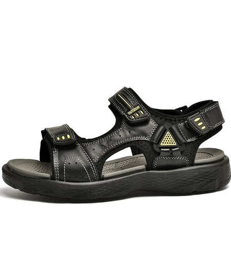 44654149402846|44654149435614|44654149468382|44654149501150|44654149533918|44654149599454|44654149664990|44654149730526|44654149796062