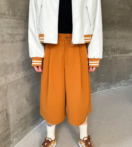 Winter Fashion Men's Woolen Shorts Casual Wide Leg Straight Leg Short Pants Niche Design Male Clothing 9C3613