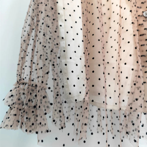 Load image into Gallery viewer, Women Brown Mesh Dot Ruffles Thin Blouse New Stand Collar Long Sleeve Shirt Fashion Tide Spring Summer 2025 1DJ1483
