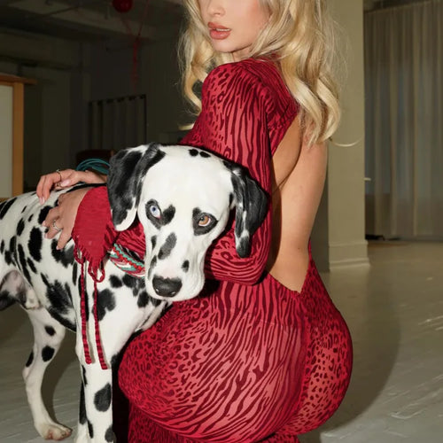 Load image into Gallery viewer, Fashion Long Sleeved Hollow Out Open Back Mesh Dress For Women Print Elegant Female New Slim Party Evening Dress 2024
