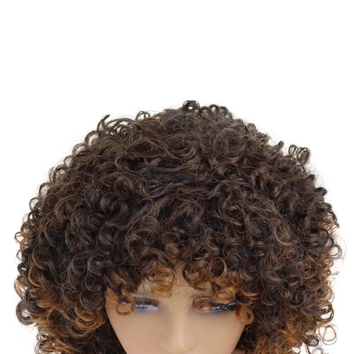 Load image into Gallery viewer, Synthetic Fiber Afro Curly Wigs for Women Fluffy Hairstyles Big Curls Natural Wigs African American Wig with Bangs Lady
