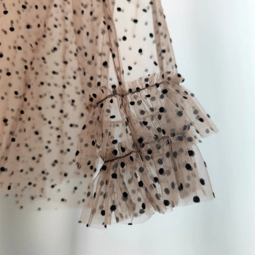 Load image into Gallery viewer, Women Brown Mesh Dot Ruffles Thin Blouse New Stand Collar Long Sleeve Shirt Fashion Tide Spring Summer 2025 1DJ1483

