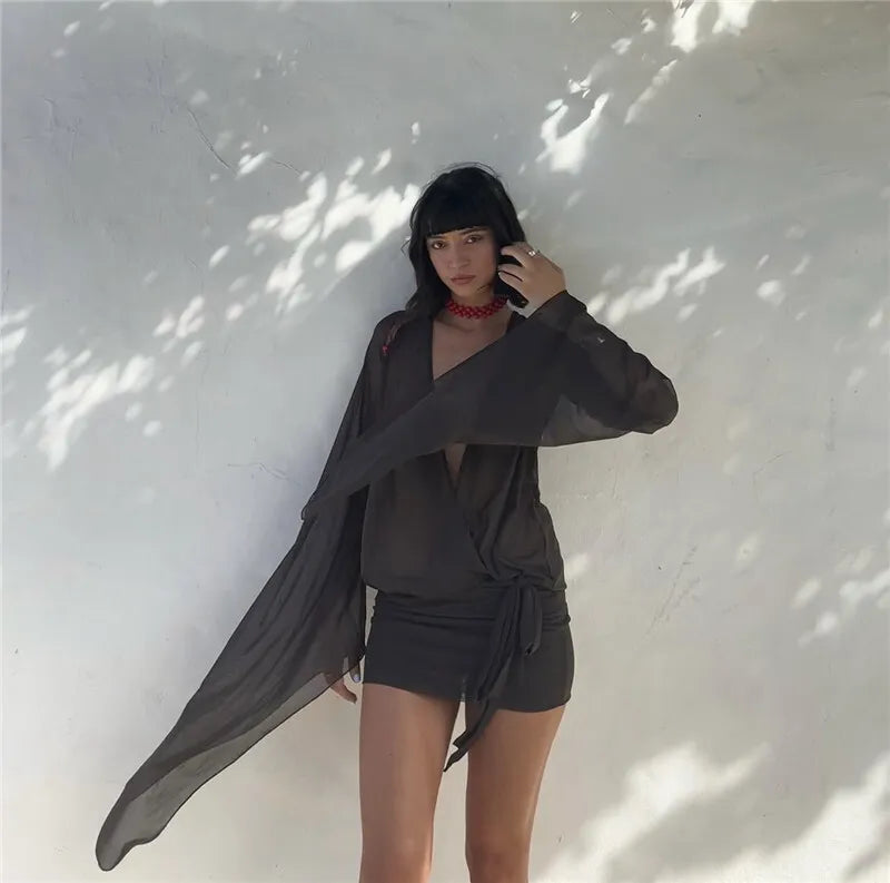 Mesh See Through Sexy Mini Dress For Women Black Sheer Mesh Deep V Neck Long Sleeve Backless Draped Ruched Dress