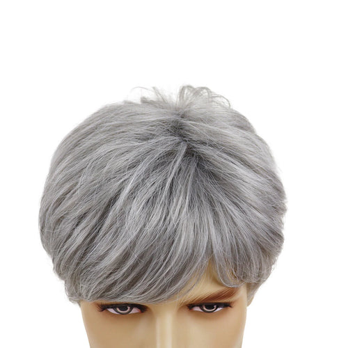 Load image into Gallery viewer, Synthetic Short Men Wig Cosplay Silver Grey Wig with Bangs Korean Male Hair Hairstyle Grandpa Halloween Costume Wigs
