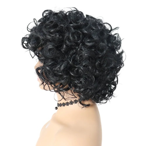 Load image into Gallery viewer, Synthetic Black Curly Afro Wig with Bang for Women Natural Wig Curls Kinky African American Wig Mix Brown Bombshell Wig
