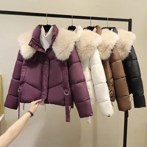 Load image into Gallery viewer, Korean Version 2024 New Casual Solid Hooded Fur Neck Short Cotton Padded Jacket Winter Retro Zipper Bread Down Thick Coat Street
