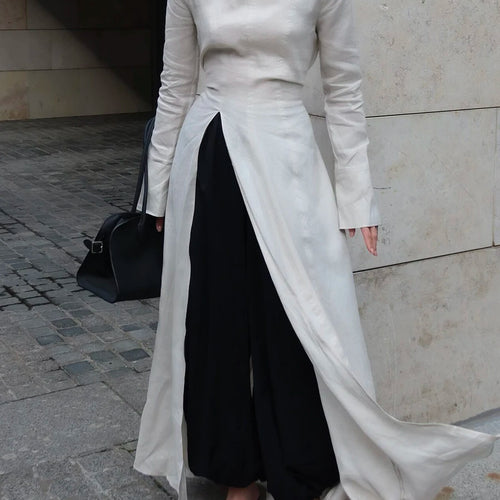 Load image into Gallery viewer, Solid Slimming Side Split Dresses for Women High Neck Long Sleeves Tunic Minimalist Chic Dress Female Clothing New
