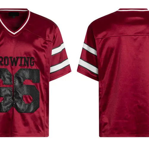 Load image into Gallery viewer, Vintage Jersey T-Shirt Y2K Embroidered Snake Patch Sports V-Neck Tshirt Streetwear Hip Hop Harajuku Casual Baggy Top Tee Shirts
