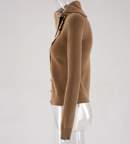 Brown Irregular Slim Knitting Sweater Turtleneck Long Sleeve Women Pullovers New Fashion Tide Spring Autumn 2025 CPDB243