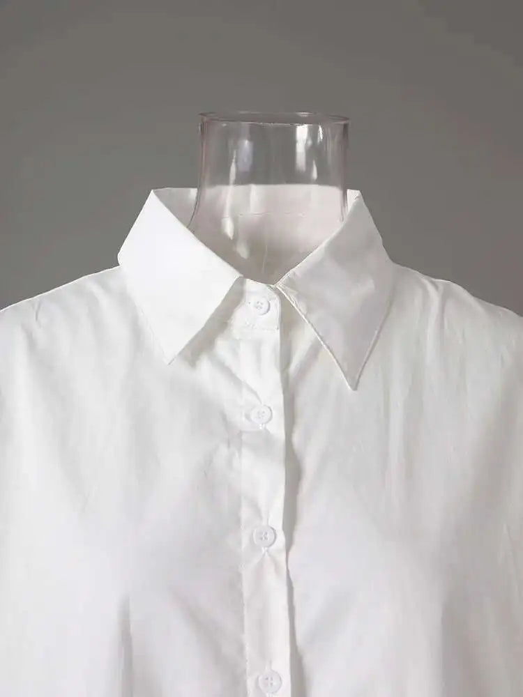 Women Black Irregular Hem Big Size Shirt Dress New Lapel Long Sleeve Loose Fit Fashion Tide Spring Autumn 2025 1DE2485