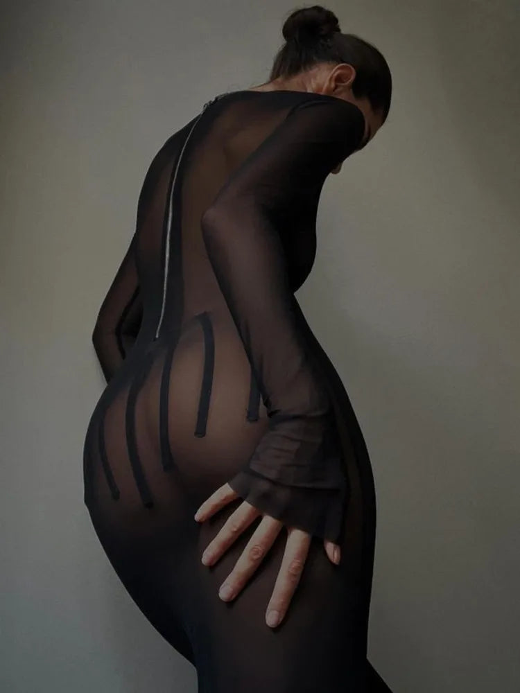 Sexy Mesh Perspective Long Sleeved Dress Women Round Neck Slim Zipper Long Dress Spring New 2024 Party Evening Dress