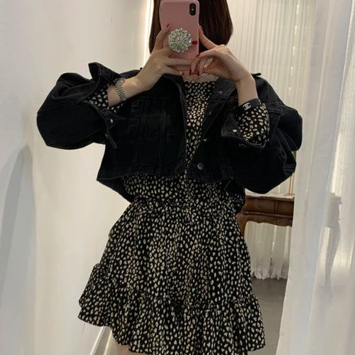 Load image into Gallery viewer, Chicly Vintage Leopard Print Slim Waist Casual Women Dresses Autumn Fashion O-neck Long Sleeve Simple A-line Female Mini Dresses
