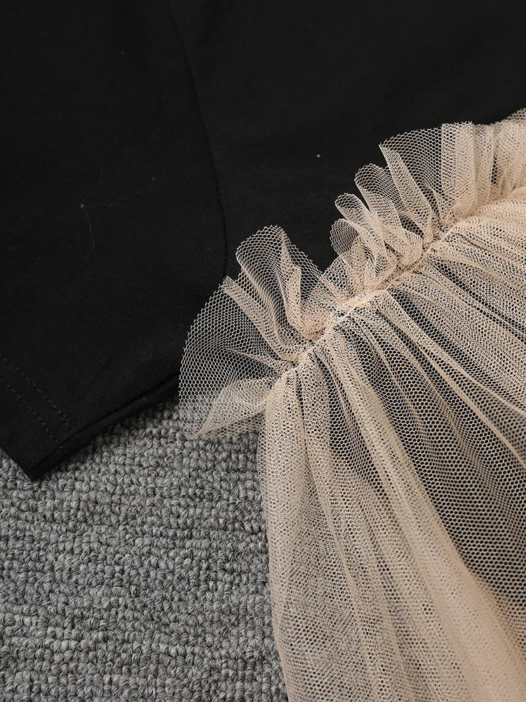 Women Black Mesh Color-block Big Size Knee-Length Dress New Round Neck Short Sleeve Fashion Spring Summer 2025 CPG3040