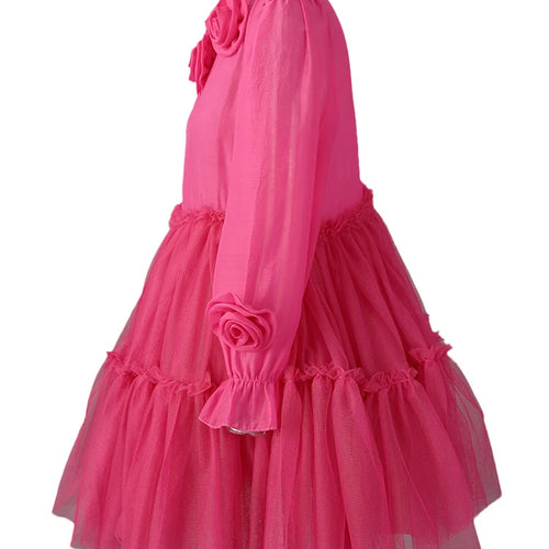 Load image into Gallery viewer, Women Rose Red Mesh Flower Big Size Mini Dress New Stand Collar Long Sleeve Fashion Tide Spring Autumn 2025 CPG3051
