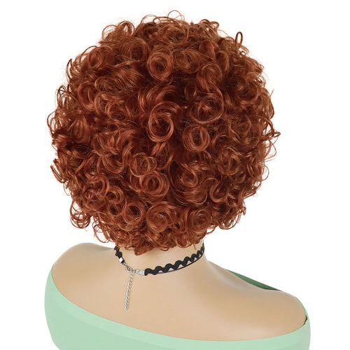 Load image into Gallery viewer, Synthetic Ginger Brown Wigs for Women Curly Short Wig with Bangs Red Hair Color Curly Wigs Female Natural Spice Wig Ice
