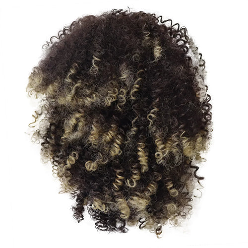 Load image into Gallery viewer, Synthetic Afro Curly Wigs for Black Women Big Colly Mix Brown Wigs African American Hairstyles Kinkys Hairs Full Wigs
