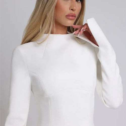 Load image into Gallery viewer, Long Sleeve Backless Sexy Mini Dress For Women Autumn Winter New O Neck High Waist A-line Club Party Sexy Dress Elegant
