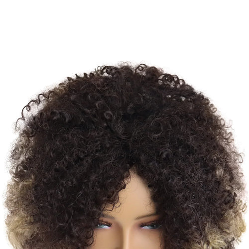 Load image into Gallery viewer, Synthetic Afro Curly Wigs for Black Women Big Colly Mix Brown Wigs African American Hairstyles Kinkys Hairs Full Wigs
