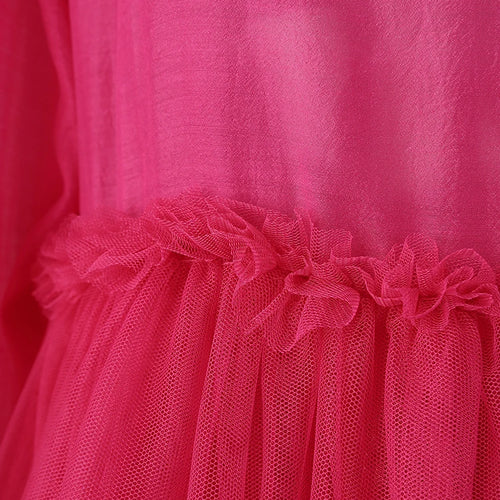 Load image into Gallery viewer, Women Rose Red Mesh Flower Big Size Mini Dress New Stand Collar Long Sleeve Fashion Tide Spring Autumn 2025 CPG3051
