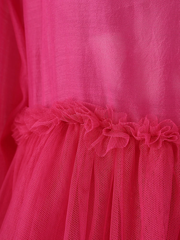 Women Rose Red Mesh Flower Big Size Mini Dress New Stand Collar Long Sleeve Fashion Tide Spring Autumn 2025 CPG3051