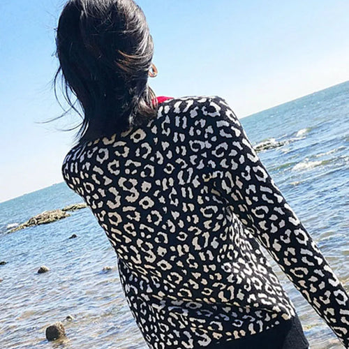 Load image into Gallery viewer, Autumn Winter Women Sweaters Leopard Knitted Pullovers Long Sleeve Contrast Color Crewneck Jumpers Sweter Mujer C- 026
