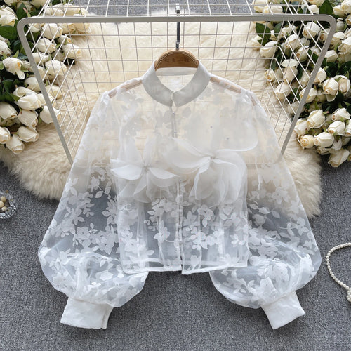 Load image into Gallery viewer, Autumn Women French Retro Mesh 3d Flower Design Blouse Long Sleeve 2023 Elegant Holiday Print Single Breasted Shirt Romantic Y2k
