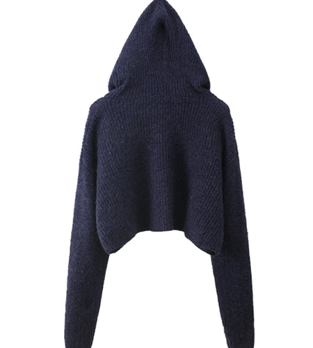 Gothic Punk Hole Cardigans Women Streetwear Harajuku Crop Sweaters Hollow Out Broken Knitted Short Tops C-093