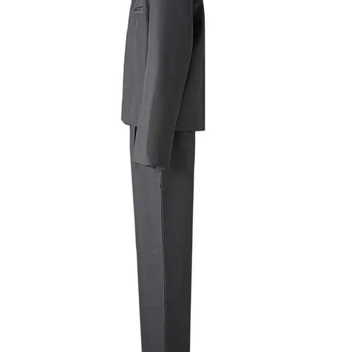 Load image into Gallery viewer, Purple Blazer Big Size Wide Leg Pants Two Piece Suit New Round Neck Long Sleeve Women Fashion Spring Autumn 2025 CPG2619
