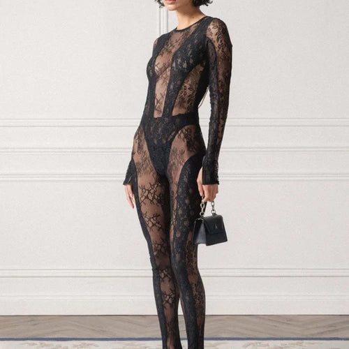 Load image into Gallery viewer, Sexy Lace Patchwork Long Sleeved See Through Women Jumpsuit Tight Backless Autumn Winter New 2024 Female Party Clothing
