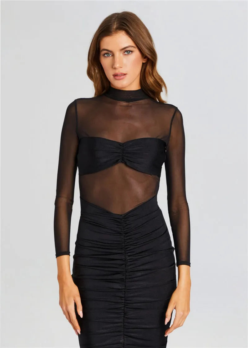 Sheer Long Sleeve Ruched Sexy Maxi Dress Women Fashion Half High Collar See Through Backless Bodycon Sexy Long Dress