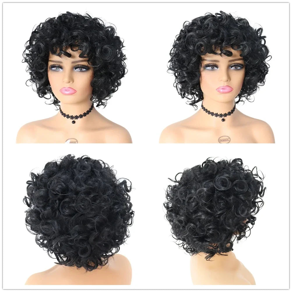 Synthetic Black Curly Afro Wig with Bang for Women Natural Wig Curls Kinky African American Wig Mix Brown Bombshell Wig