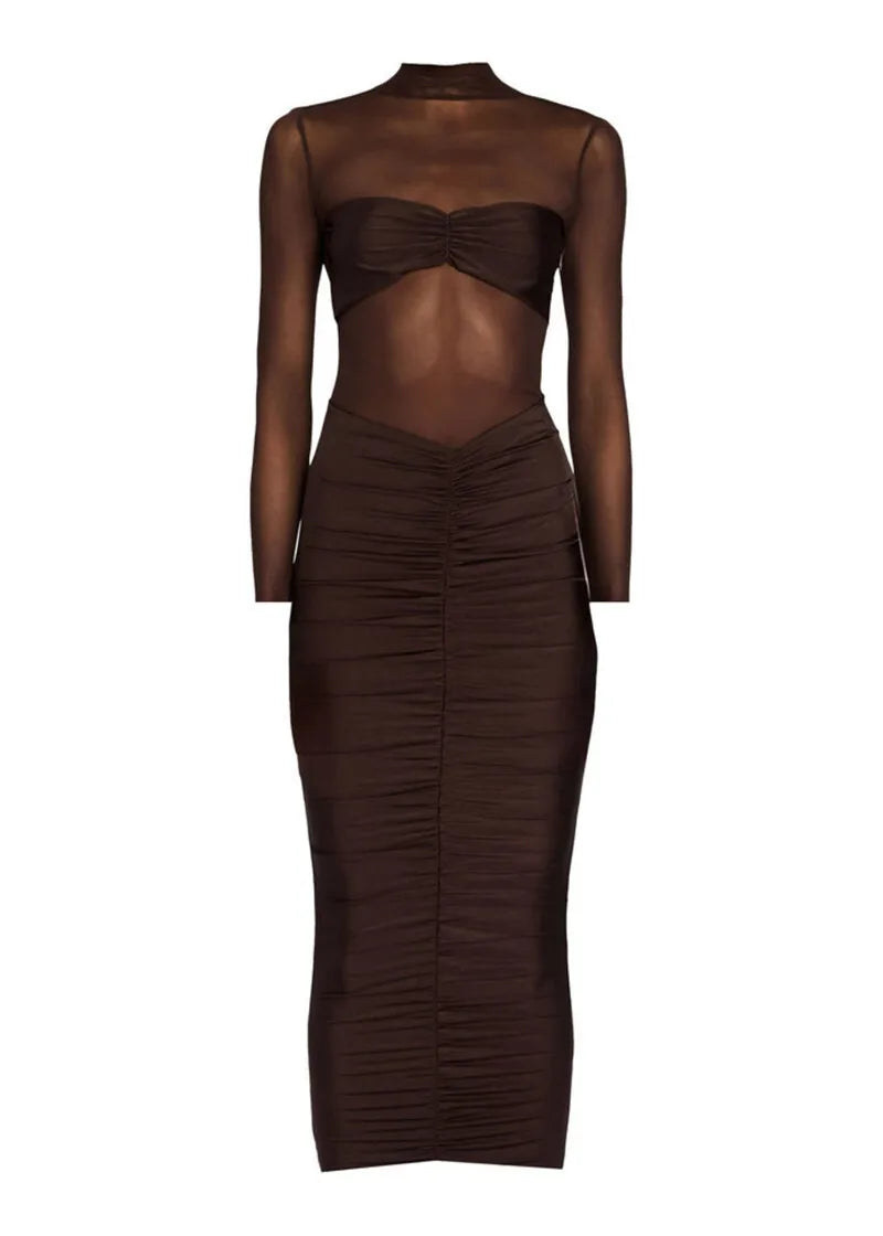 Sheer Long Sleeve Ruched Sexy Maxi Dress Women Fashion Half High Collar See Through Backless Bodycon Sexy Long Dress