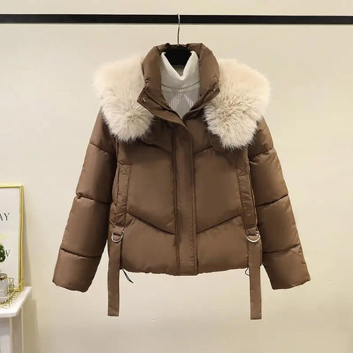 Load image into Gallery viewer, Korean Version 2024 New Casual Solid Hooded Fur Neck Short Cotton Padded Jacket Winter Retro Zipper Bread Down Thick Coat Street
