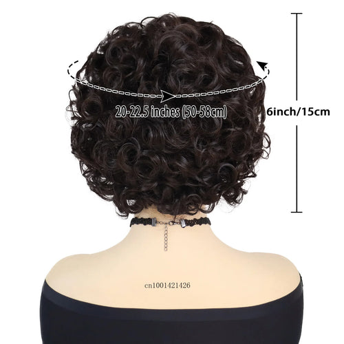 Load image into Gallery viewer, Dark Brown Wigs Curly Synthetic Hair Short Wig with Bangs Old Lady Hairstyles Mommy Wig Costume Carnival Party Cosplay Wigs Soft
