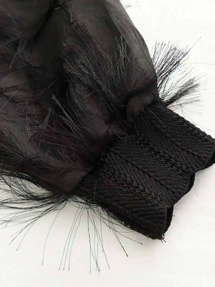 Spring Autumn Stand Collar Long Sleeve Perspective Black Loose Tassels Big Size Dress Women Fashion Tide JI780