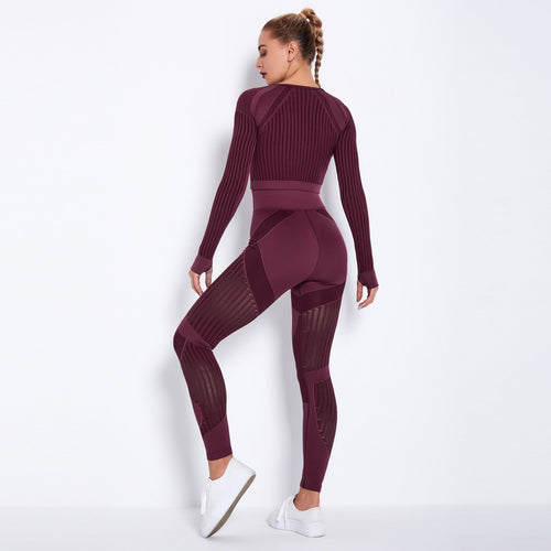 Load image into Gallery viewer, Seamless Gym Set Women Sexy Patchwork Mesh 2 Piece Yoga Set Fitness Long Sleeve Crop Top Sports Leggings Outfits Workout Clothes
