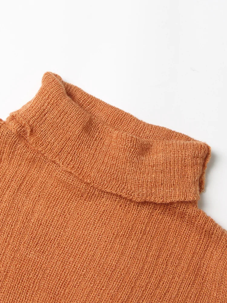 Solid Knitting Casual Sweaters For Women Turtleneck Long Sleeve Slimming Pullover Minimalist Sweater Female Fashion Style