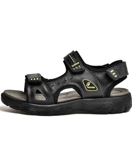 44650245783774|44650245816542|44650245882078|44650245947614|44650246013150|44650246078686|44650246111454|44650246176990|44650246242526