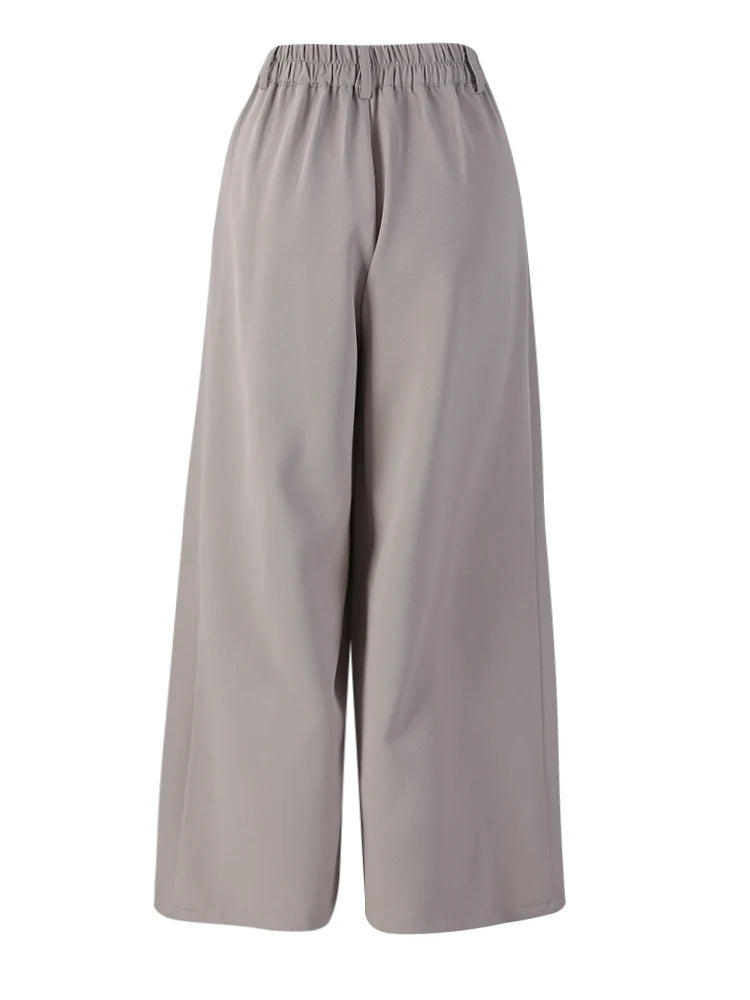 High Elastic Waist Gray Coffee Pleated Long Wide Leg Pants New Trousers Women Fashion Tide Spring Autumn 2025 7AB8772