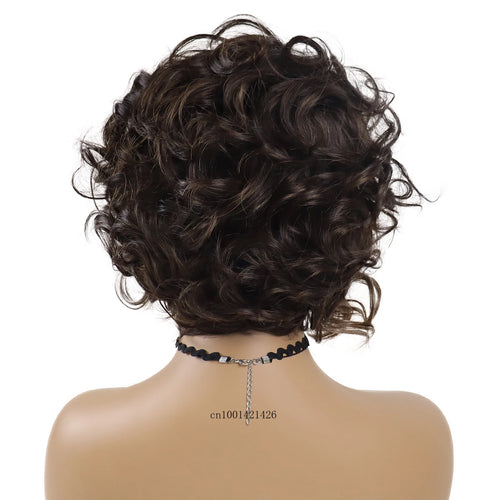 Load image into Gallery viewer, Short Curly Wigs for Women Synthetic Fiber Casual Hairstyles Mix Brown Wig with Bangs Natural Hair Replacement Wigs Highlights
