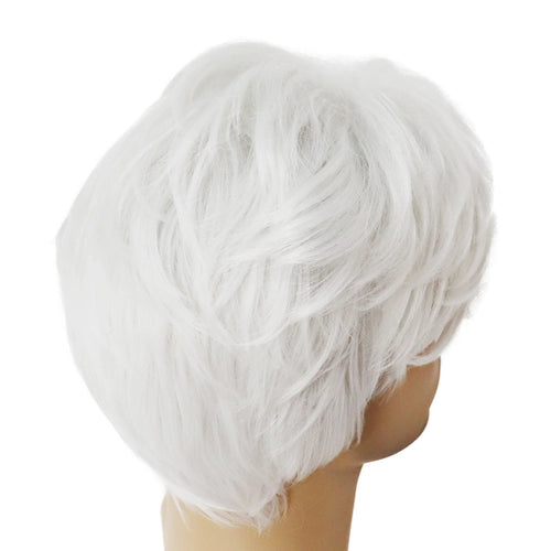 Load image into Gallery viewer, White Wig Short Hair Cosplay Wigs for Men Natural Looking White Old Man Wig with Bangs Halloween Costume Wig Male Sale
