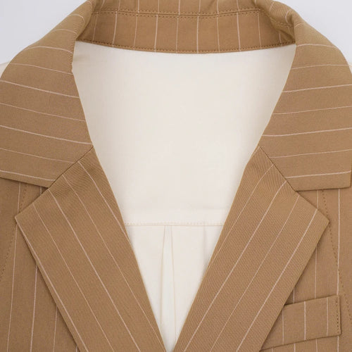 Load image into Gallery viewer, Women Khaki Striped Back Pleated Long Elegant Blazer New Lapel Long Sleeve Jacket Fashion Tide Spring Autumn 2025 CPDB201
