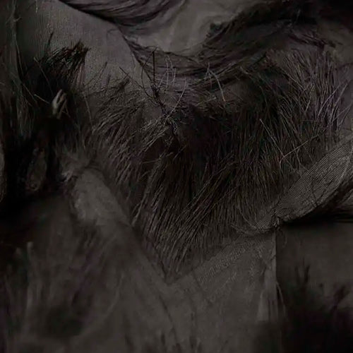 Load image into Gallery viewer, Spring Autumn Stand Collar Long Sleeve Perspective Black Loose Tassels Big Size Dress Women Fashion Tide JI780
